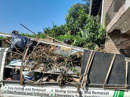 Best Hot Tub Removal  in Belding, MI