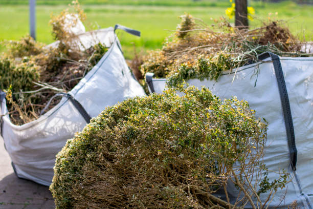 Best Appliance Removal  in Belding, MI